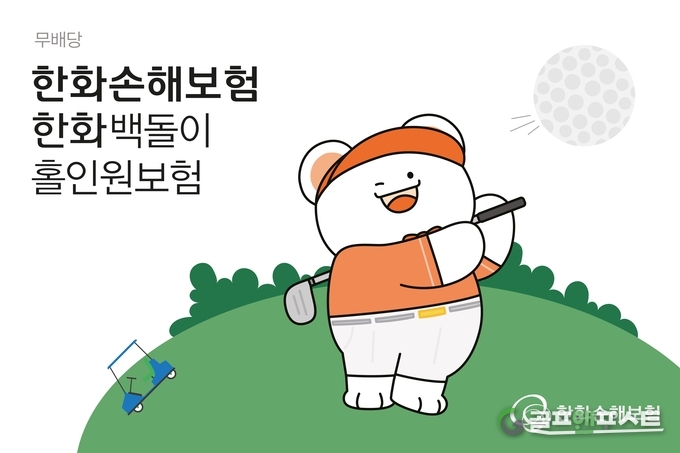 이미지=한화손해보험